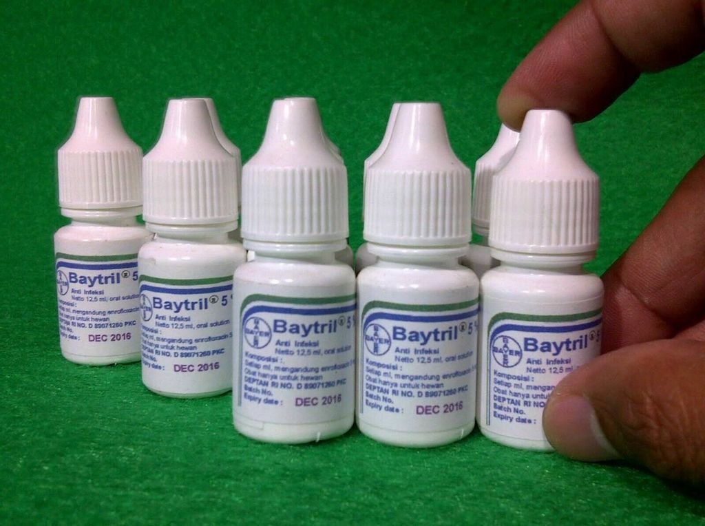 Baytril 5% 12.5ml Drops Broad Spectrum Pigeons, Birds And Cage Birds
